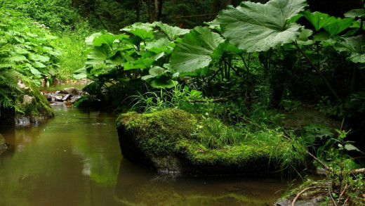 622677 (a): :2560x1440